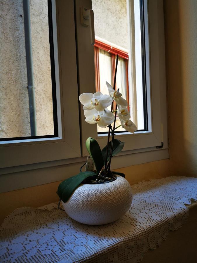 Vila Casa Ida Cannobio Exteriér fotografie